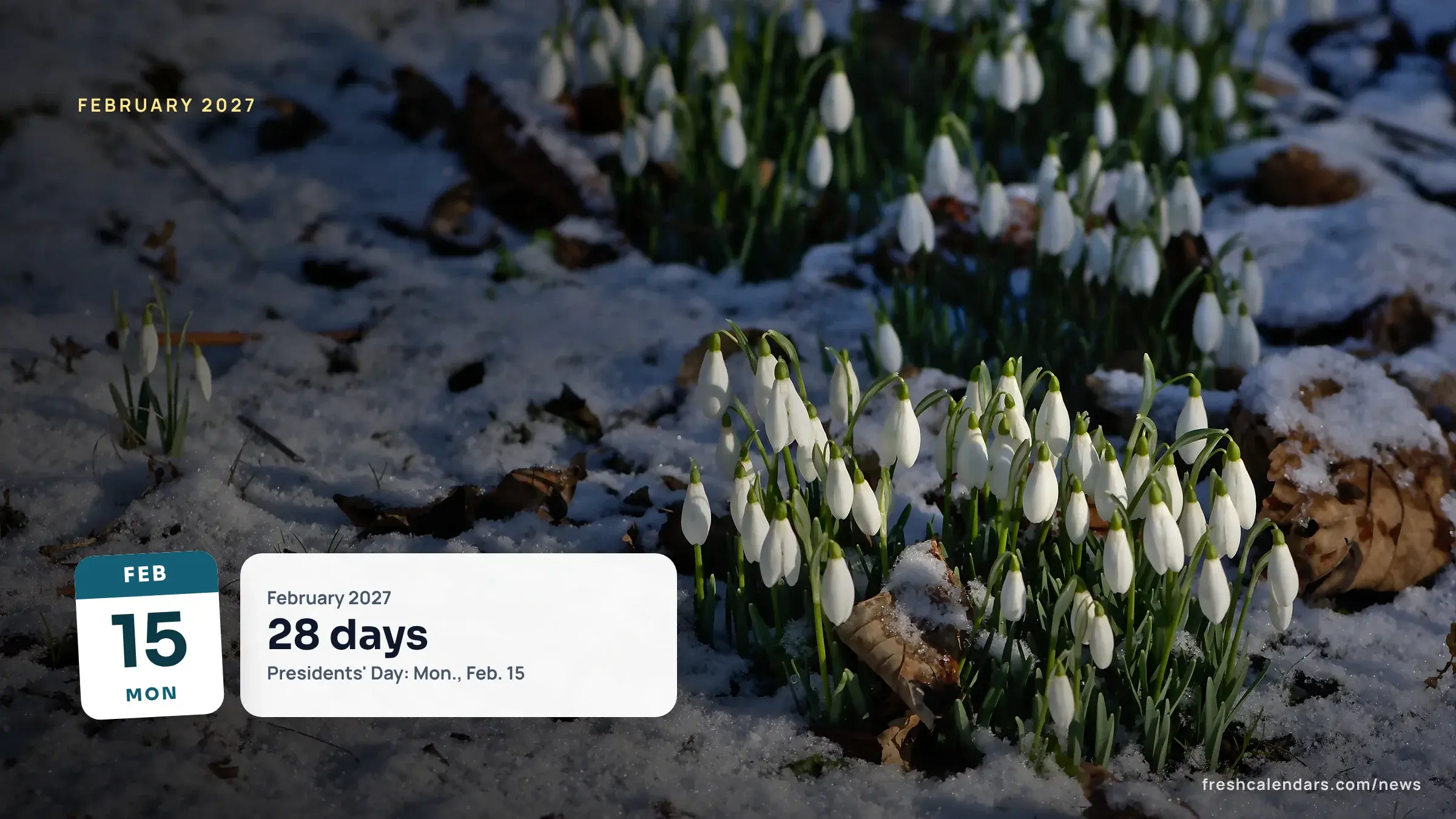 Snowdrops in snow, a winter scene for the February 2027 calendar, which has 28 days and starts on Monday, Feb. 1