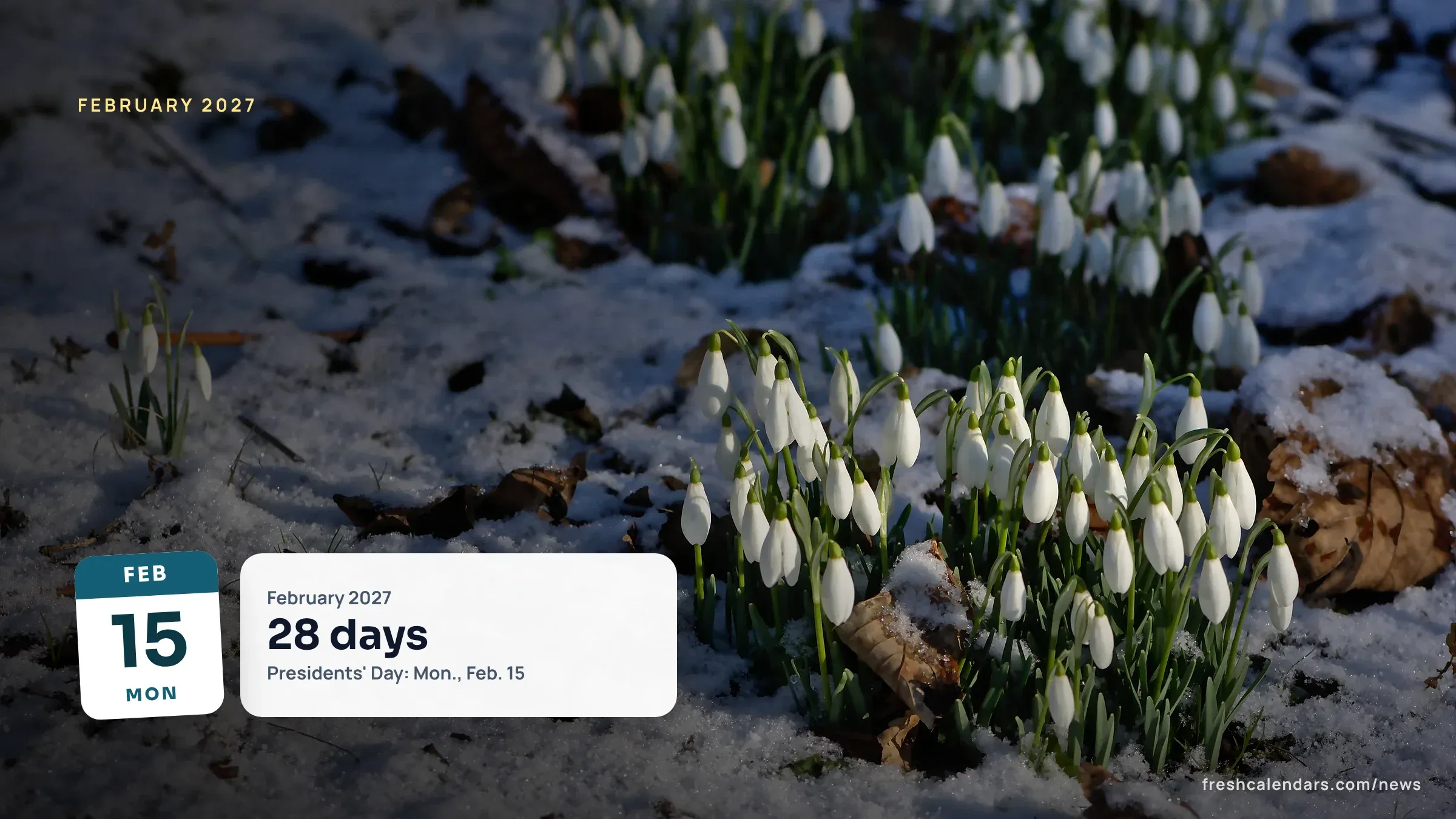 Snowdrops in snow, a winter scene for the February 2027 calendar, which has 28 days and starts on Monday, Feb. 1